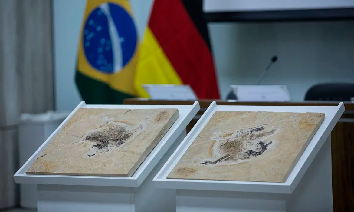 Brasil quer repatriar fósseis de dinossauros e patrimônios no exterior