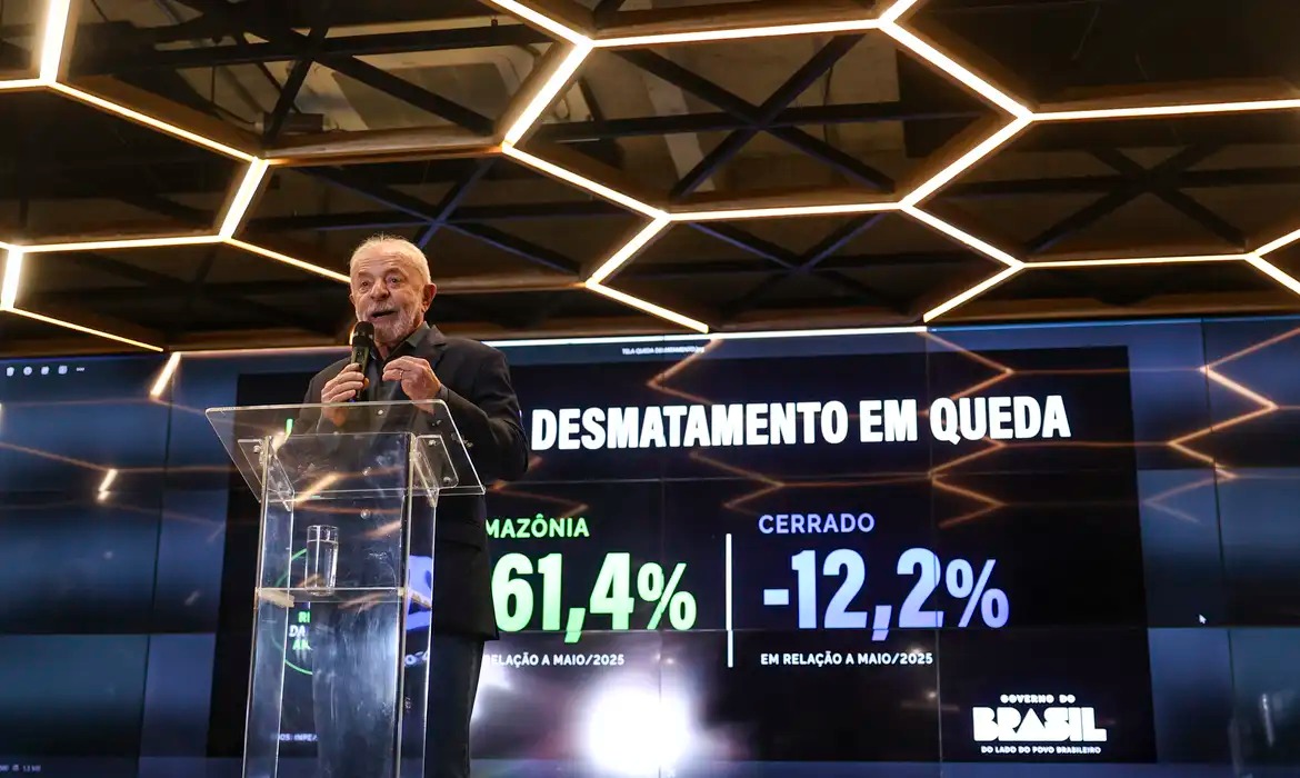 Monitoramento em tempo real ajuda a preservar Amazônia