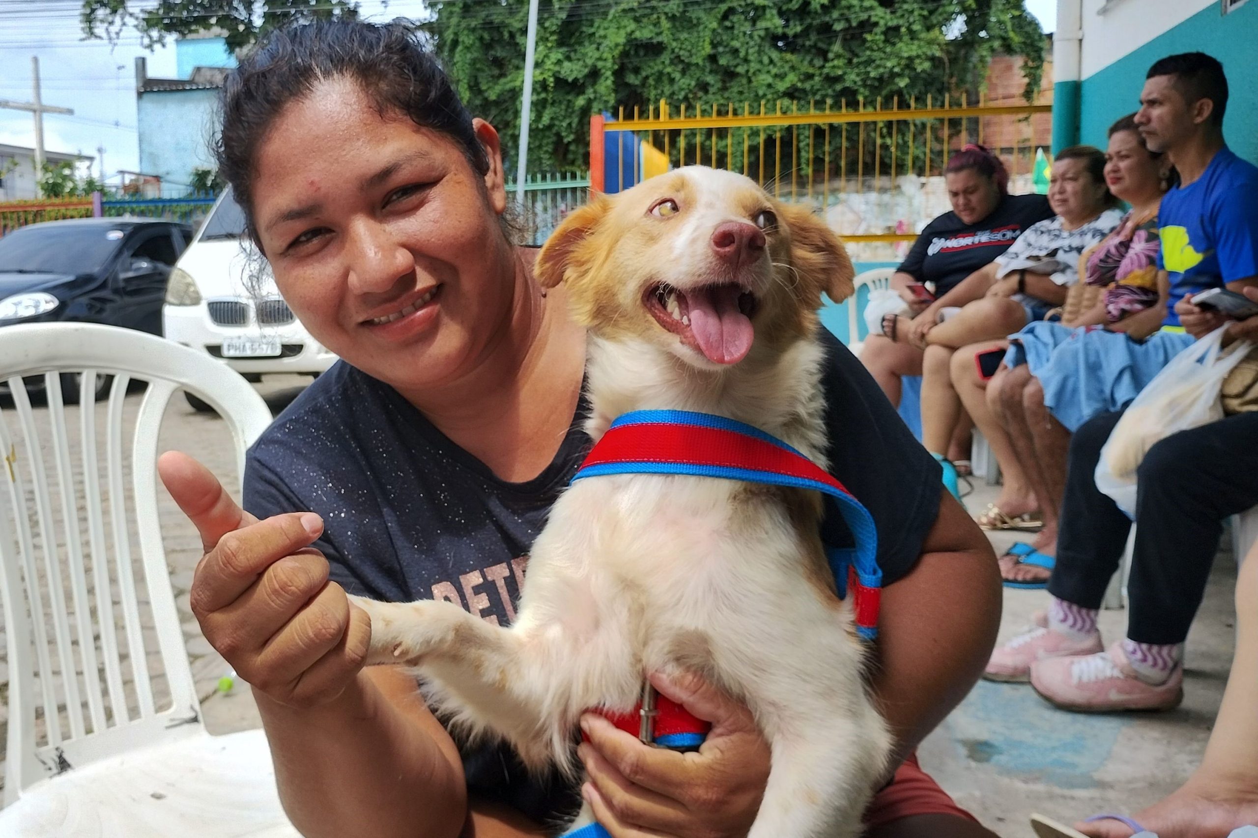 Como conseguir castração gratuita de cães e gatos em Manaus