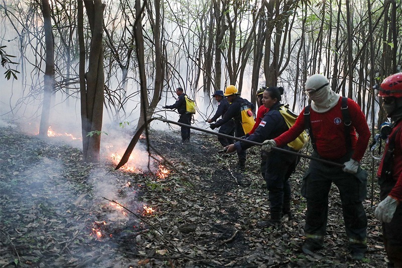 Dados do INPE destacam redução das queimadas no Amazonas