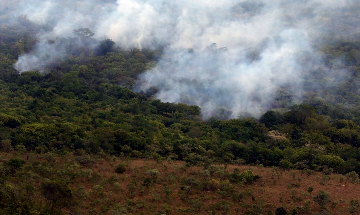 América do Sul reduz emissões por queimadas
