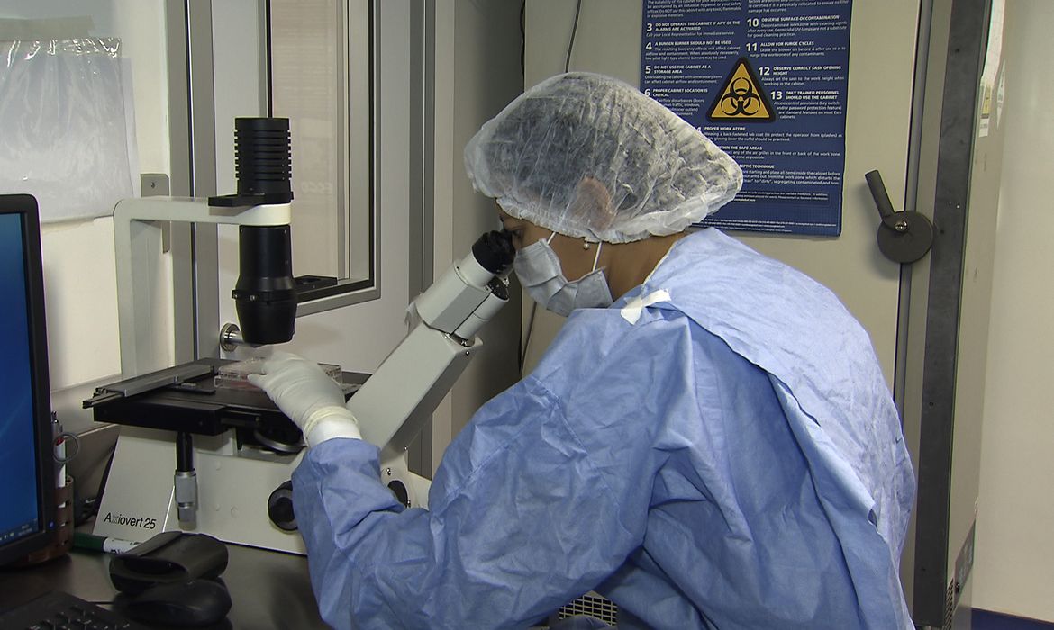 Entenda como transplante pode levar à remissão do HIV