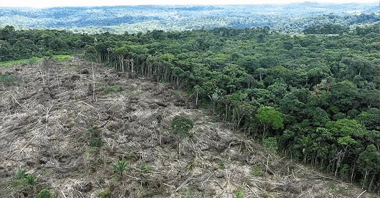 Fiscalização ambiental contribui para queda do desmatamento Palavra-chave: Fiscalização ambiental Amazônia
