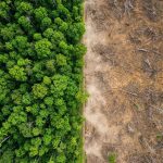MapBiomas aponta queda nas áreas queimadas do Brasil em 2025