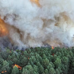 Incêndio força retirada de turistas no sudoeste da França