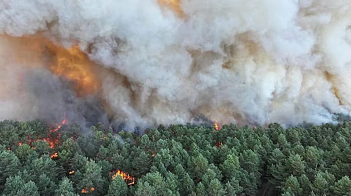Incêndio força retirada de turistas no sudoeste da França