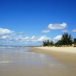 Barulho no mar ameaça reprodução de peixes