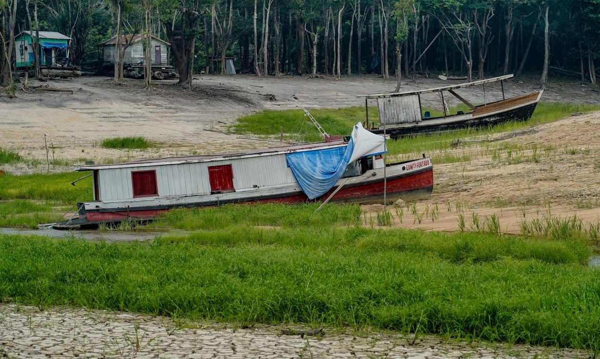 Brasil participa da COP17 com foco em terras degradadas