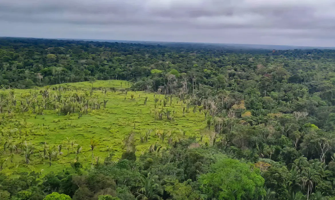 Terras indígenas com maior desmatamento na Amazônia